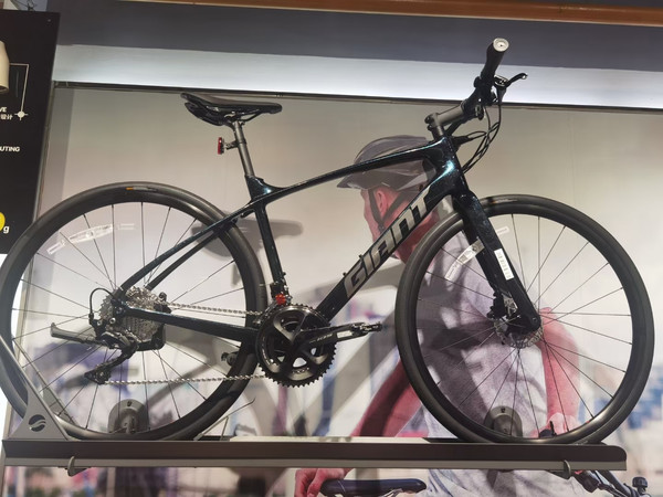 捷安特2022 FASTROAD ADV 1 蓝绿变色龙涂装