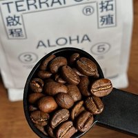 新买的咖啡豆是启程拓殖，总觉得缺点意思