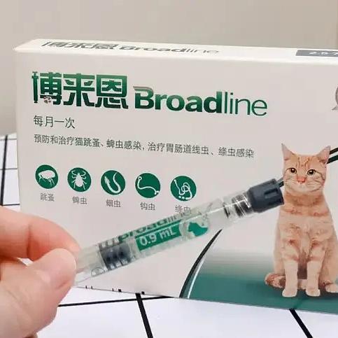 亲测博来恩猫驱虫药，新手猫奴就能上手