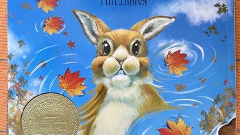 纽伯瑞儿童金奖文学作品《兔子坡》阅读体验，一起感受文学经典的永恒魅力！
