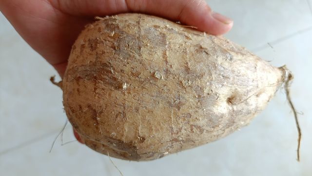凉薯–夏日清爽好食材