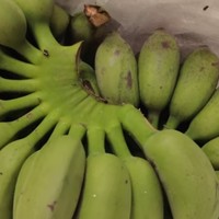 家中常备水果之广西小米蕉