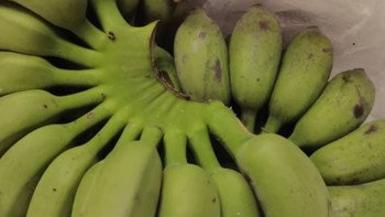 家中常备水果之广西小米蕉