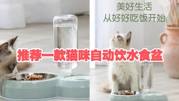 家里来了新成员，吃饭家伙安排上，推荐这款猫咪自动饮水食盆