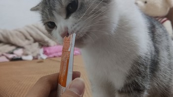 盒边猫条  性价比极高的平民猫猫零食