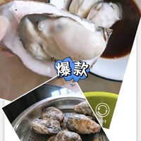 美味可口的海鲜-乳山生蚝