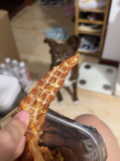 狗狗爱吃的零食