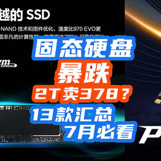 固态真离谱：2T暴跌到378，1T只卖199！我汇总了7月神价13款！