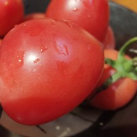 美食 篇七十四：很喜欢吃小番茄，满满的维生素C！