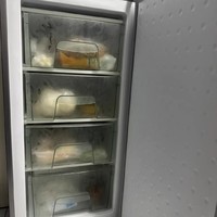 北极熊BEIJIXIONG立式冰柜，速冷急冻抽屉小型家用冷柜一级节能冰箱