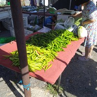 小寨集市的豇豆，水蜜桃，辣椒非常便宜