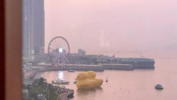 爱生活的燃烧 篇三百一十七：解锁大黄鸭不同视角 香港君悦酒店