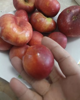 夏天当然要吃桃子了