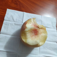 这桃子好吃！