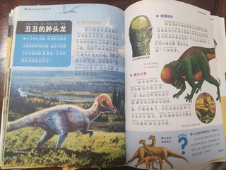 孩子喜欢看的恐龙书
