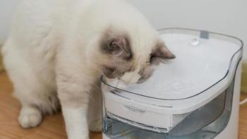 红莲产品评测专属 篇一百零五：宠咕咕瀑布饮水机，让猫主子爱上喝水，喝干净水。