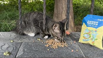 养宠好物 篇一：猫粮分析丨低温烘焙猫粮怎么选？这款小仙肉C45性价比挺高