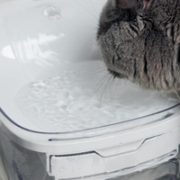 宠咕咕猫咪饮水机让猫咪放心多喝水
