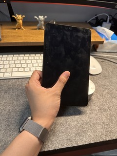 ipad mini6的平替！刷上安卓亲儿子系统PE