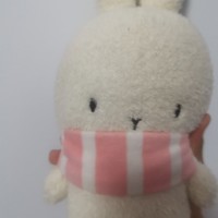 生活记录 篇一百二十三：可爱白白胖胖兔子小玩偶