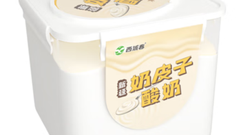 西域春 新疆 奶皮子酸奶——品质与美味的完美结合