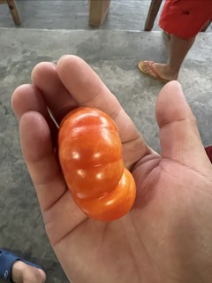 这个造型的番茄你吃过吗？