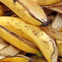 香蕉皮别扔，用3种方法简单处理一下，就是养花的“魔力肥”
