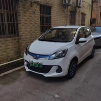 长安奔奔EV是中国长安汽车公司生产的一款纯电动车型。以下是关于这款车型的一些特点和信息