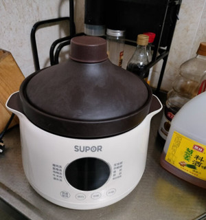 苏泊尔 SUPOR电炖锅 电炖盅 煲汤炖汤锅 煮