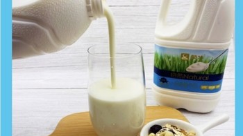 蒙牛（MENGNIU）酸奶原味益生菌网红健身佐餐1.1千克大桶风味酸牛奶大瓶家庭装 