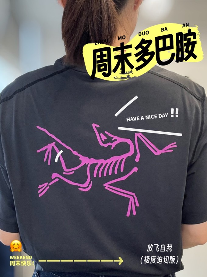 始祖鸟运动T恤