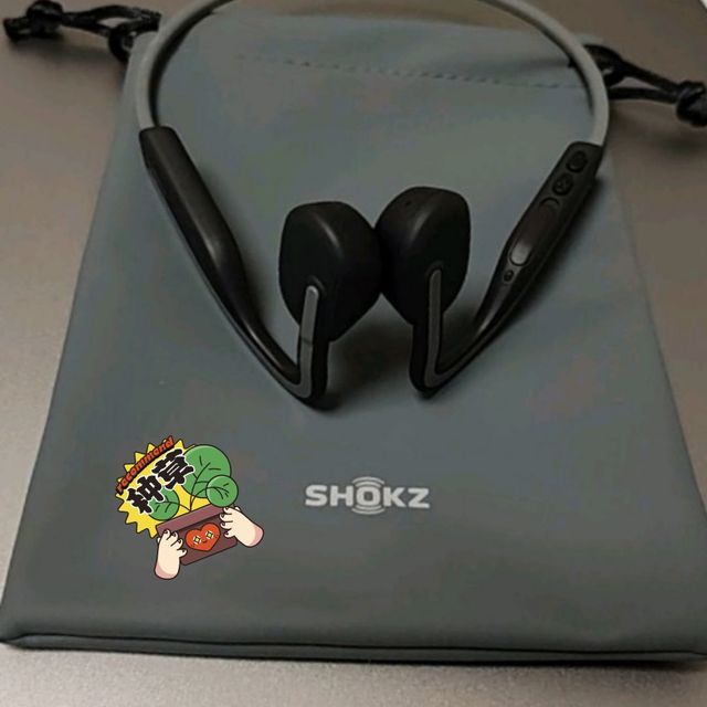 韶音（SHOKZ） OpenMove 骨传导蓝牙耳机