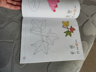 儿童涂画本，教会小孩学画画