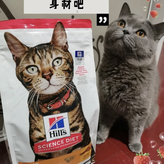 属于猫的轻食主义希尔思～