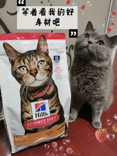 属于猫的轻食主义希尔思～