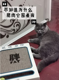 属于猫的轻食主义希尔思～