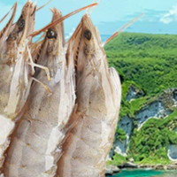 厄瓜多尔白虾怎么做？油焖厄瓜多尔白虾，棒棒哒！