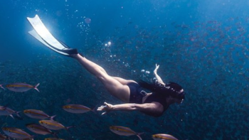 聚礁之乐 篇一：夏日浮潜入门指南，3000字带你轻松观赏海底世界（买对装备，选对潜点）