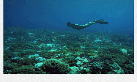 夏日浮潜入门指南，3000字带你轻松观赏海底世界（买对装备，选对潜点）