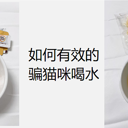 猫咪喝水少很严重怎么办？有哪些比较有效的猫咪骗水方式？