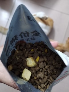 有冻干的猫粮，主子们都喜欢吃