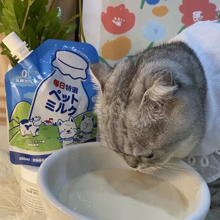 需要给猫猫单独买一款宠物奶来补充营养吗？有什么好的宠物奶推荐？