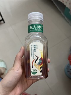 惊艳味蕾！东方树叶青柑普洱饮料震撼上市！