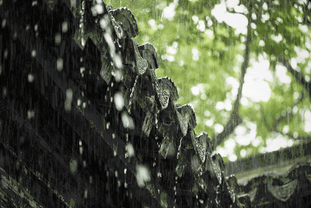 细雨 ©摄图网