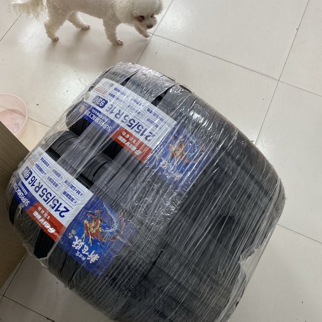 支持了一把国产轮胎——十代思域换飞跃龙腾胎记