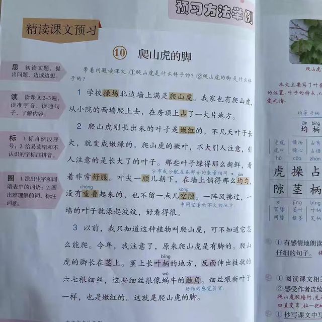 宝藏教辅之课文总结