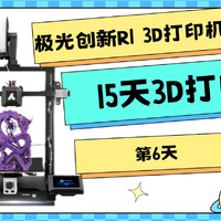 极光创新R1 3D打印 佩奇头像15天3D打印第6天