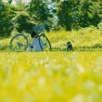 ​夏日解压治愈系日剧《凪的新生活》