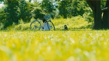 ​夏日解压治愈系日剧《凪的新生活》