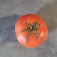 番茄：绿色食品的代表